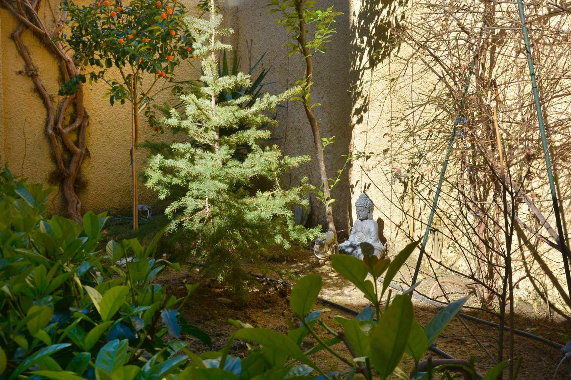 Apartament Τhe Hidden Garden Corfu  Zewnętrze zdjęcie