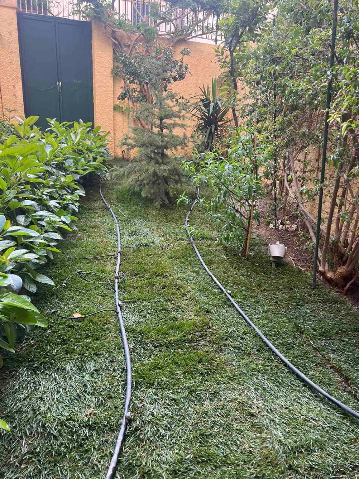 Apartament Τhe Hidden Garden Corfu  Zewnętrze zdjęcie