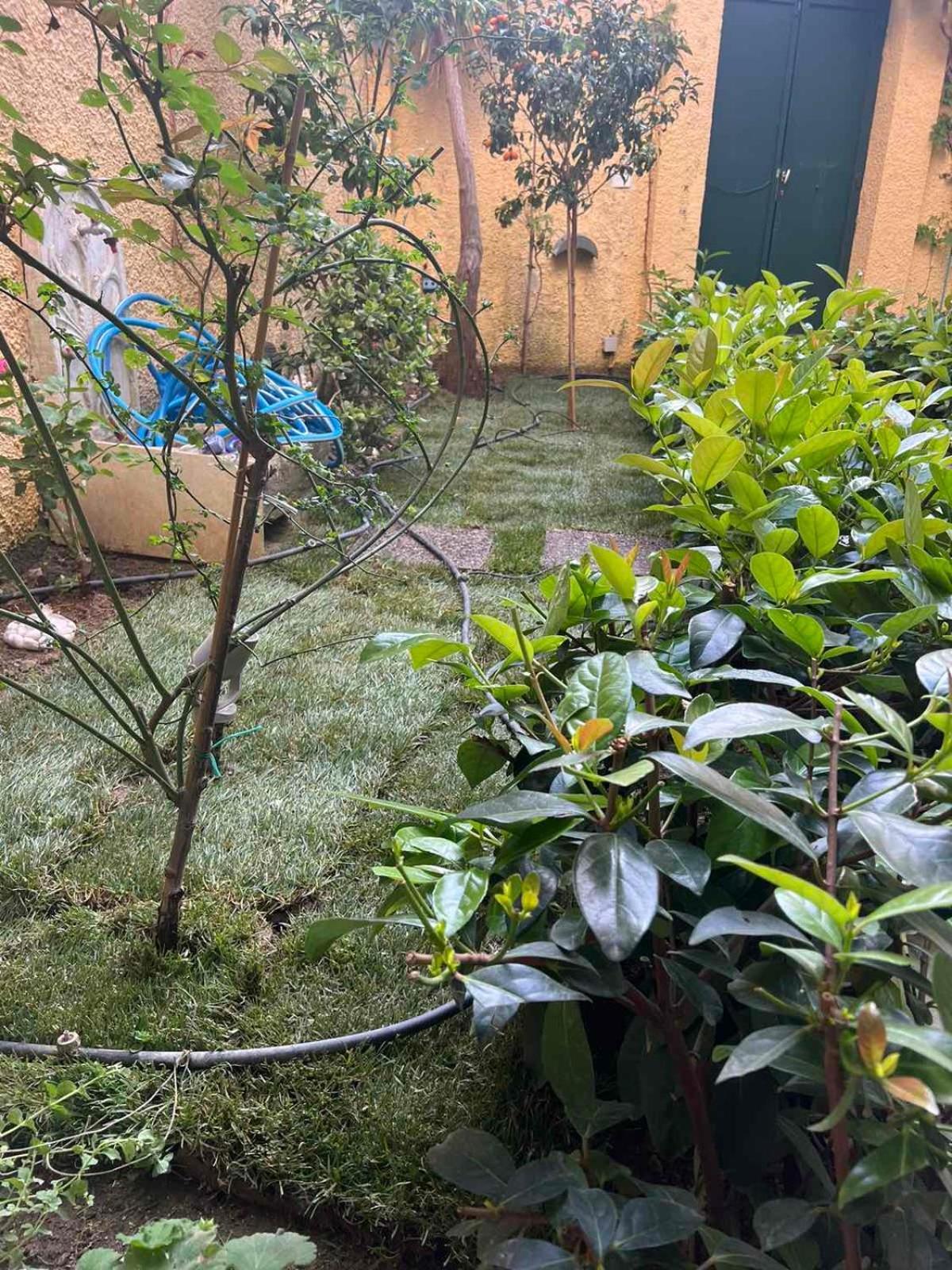 Apartament Τhe Hidden Garden Corfu  Zewnętrze zdjęcie
